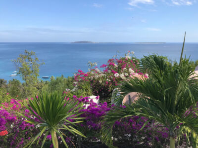 Mentigi Bay Dome Villas View