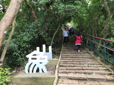 Steep stairs up Elephant Mountain Stairs at Elephant Mtn.