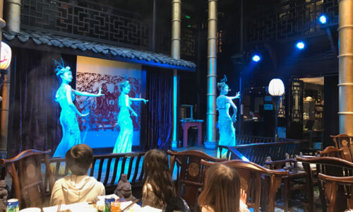 Chengdu hotpot and show