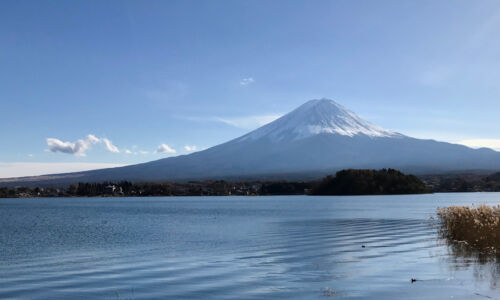 More lake and a little duck