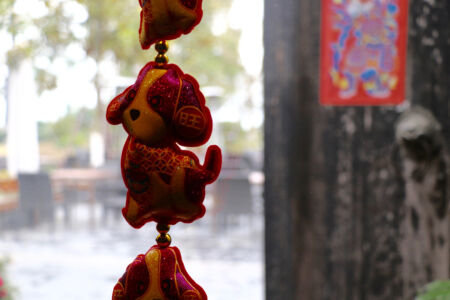 2018 is the Year of the Dog 2018 Year of the Dog