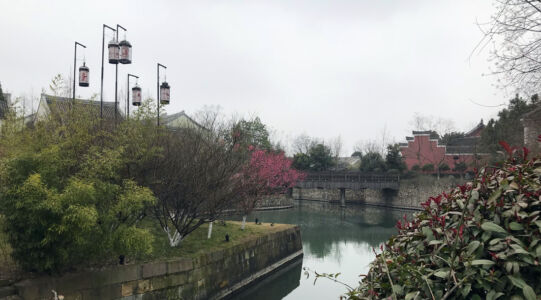 The grounds at the resort are quite nice path along canal