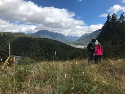 We went on a nature explorer hike organized by the lodge. It was really enjoyable Hiking near the Wilderness Lodge