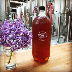 Try Scotts Brewery in Oamaru. It's good. Scotts Brewery