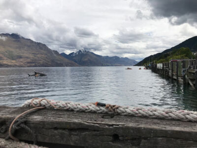 These sharkboats go really fast and dive into the water. Fun. Sharkboats