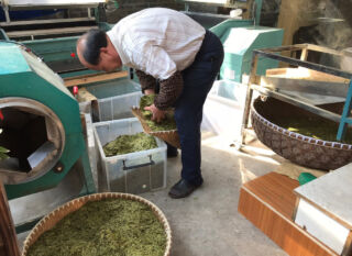 These tea are being size sorted in the machines shown. Sizing the tea leaves