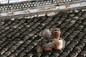 An interesting creature. I don't know what it is. Roof critter