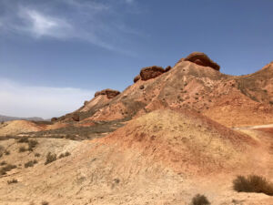 Closer view of the "supernatural
tortoise" Closer look at the tortoise